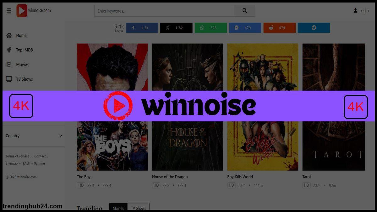 winnoise Impact of Winnoise on Movie Production.jpg